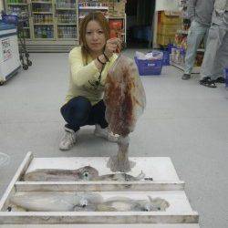 黒崎　エギングでアオリイカ〜2.9kg5ハイ！