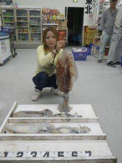 黒崎　エギングでアオリイカ〜2.9kg5ハイ！