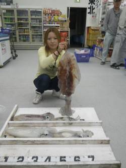 黒崎　エギングでアオリイカ〜2.9kg5ハ…
