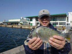 兵庫突堤でスルメイカの当たりだ