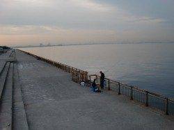 【芦屋のガシラ】南芦屋浜リアルタイム