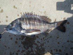 水軒ものっこんでます！【１２日】ＲＴ