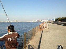 【朝一エビ撒きハネゲット！】南芦屋浜