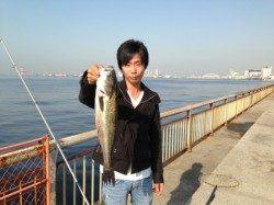 【朝ハネ連発しております！】南芦屋浜