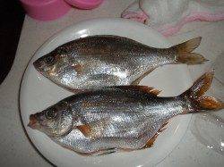 本荘人工島で胴突き☆子持ちタナゴ☆