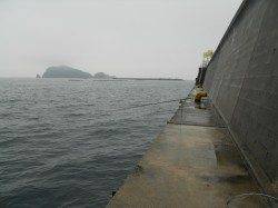 神谷の工場波止でヤエン釣り♪