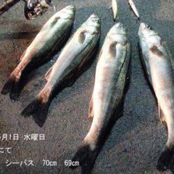 円山川 ルアーでシーバス〜70cm4本