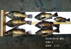 竹野でメバリング、最大サイズ28cmもＧＥＴ！