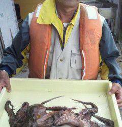 沖一文字でタコ釣り、2杯で2kgのタコをＧＥＴ