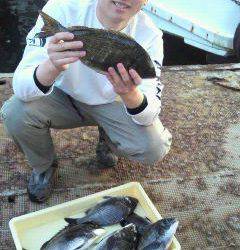 沖一文字紀州釣り釣果、40cm頭に合計9枚