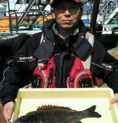 岸和田一文字 シラサのウキ釣りでチヌ＆ハネ