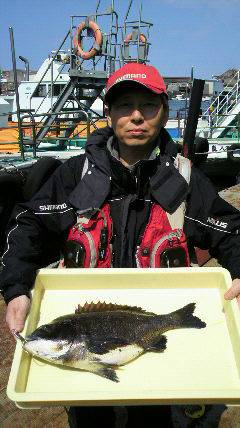 岸和田一文字 シラサのウキ釣りでチヌ＆ハネ…