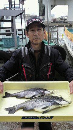 岸和田一文字 良型のチヌ釣れてます