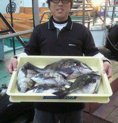 岸和田一文字　紀州釣りでチヌ〜46cm5匹