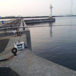 淀川河口 フカセでチヌ〜49cm6匹♪　チヌの数釣り楽しめます