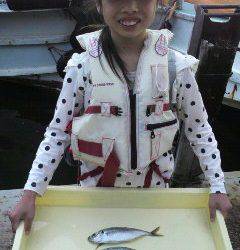 岸和田一文字 サビキでアジ〜23cm　これからの数釣りに期待