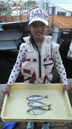 岸和田一文字 サビキでアジ〜23cm　これ…