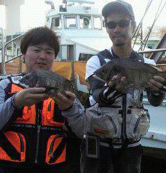 岸和田一文字　フカセのチヌ〜38cmの釣果