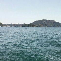 養老 エギングでアオリ狙いもコウイカ1パイ