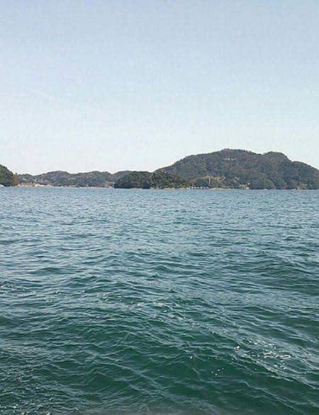 養老 エギングでアオリ狙いもコウイカ1パイ