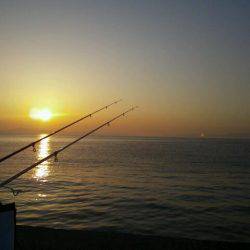 大川漁港にて自己新記録のアナゴ♪