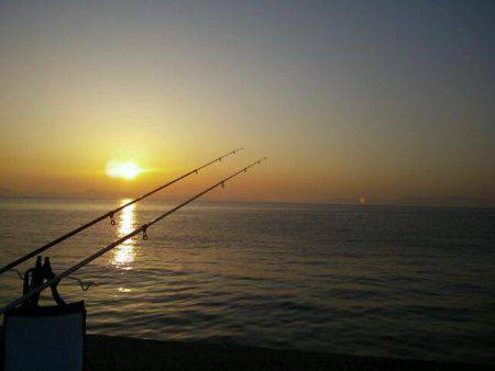 大川漁港にて自己新記録のアナゴ♪