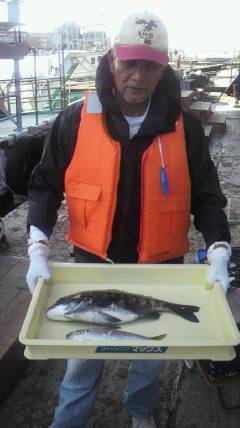 沖一文字北でチヌ&コノシロ　紀州釣…