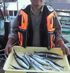 沖一文字でサヨリ！エサはアミエビ