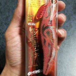 養老　墨族カンパリカラーでコウイカ1300g！