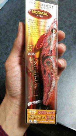 養老　墨族カンパリカラーでコウイカ1300g！