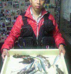 沖一文字北でイワシ・ガシラ・メバルなど多彩な釣果