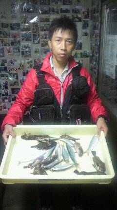 沖一文字北でイワシ・ガシラ・メバルなど多彩…