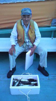 沖一文字北でのサビキ釣り　アジ60匹！