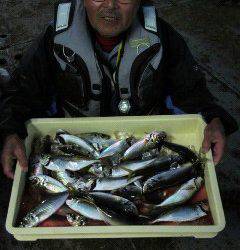 旧一文字赤灯　いい型のアジが絶好調でした♪