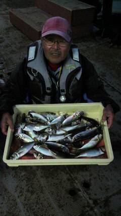 旧一文字赤灯　いい型のアジが絶好調でした♪…