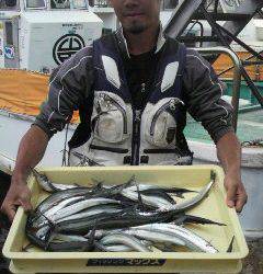 岸和田一文字　ウキ釣りでサヨリ40匹の釣果