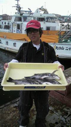 岸和田一文字　紀州釣りでチヌ〜38cm3枚…