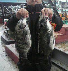 沖一文字北でフカセ釣り、チヌ41cmの釣果☆