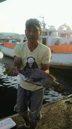 沖一文字スリット落とし込みで良型チヌ！！