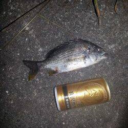 和歌川河口　ジグヘッド+ワームでスズキ＆キビレ