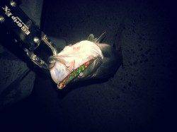 貝塚でバチ抜けまだまだ楽しみます！