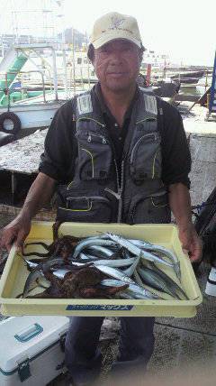 岸和田一文字　サヨリ＆タコの釣果