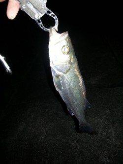 和歌川河口　ジグヘッド+ワームでスズキ＆キビレ