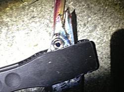 おのころ愛ランド　メーカートーナメントでサ…