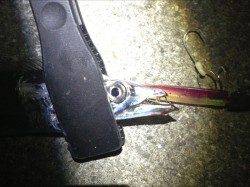 おのころ愛ランド　メーカートーナメントでサーベリングでタチウオ1匹