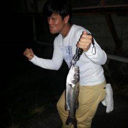 雑賀崎　ライトゲームでシーバス＆ガシラ2匹