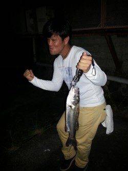 雑賀崎　ライトゲームでシーバス＆ガシラ2匹