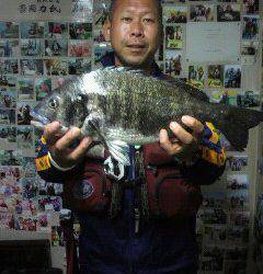 旧一文字赤灯での落とし込み　良型チヌ出てます