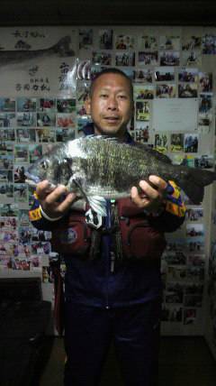 旧一文字赤灯での落とし込み　良型チヌ出てま…