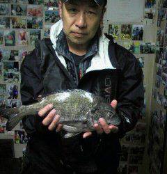 旧一文字赤灯での落とし込み　良型チヌ出てます